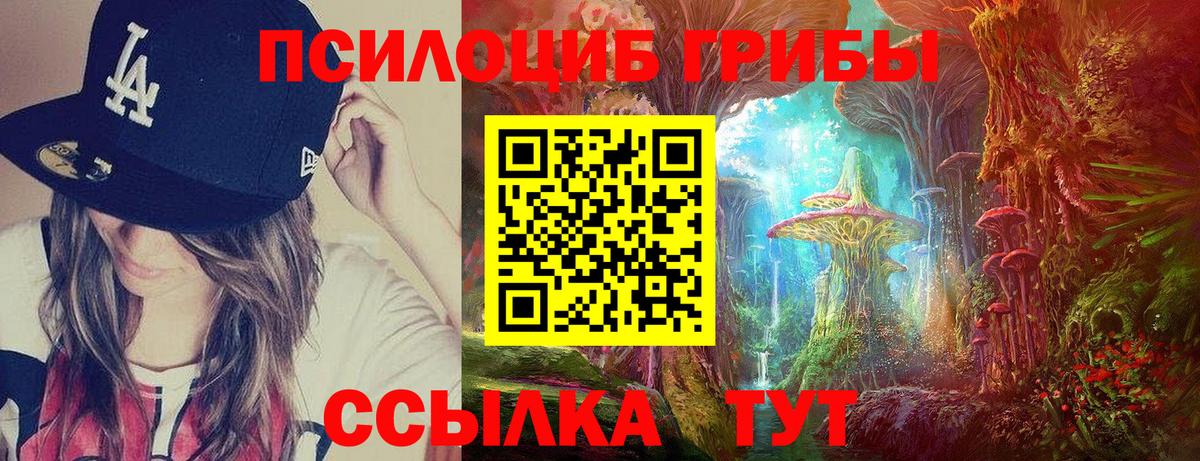 Партизанск  Галлюциногенные грибы Psilocybine cubensis  как найти   Вход с VPN 
