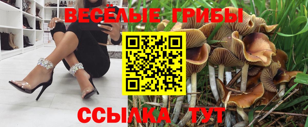 Псилоцибиновые грибы мухоморы Партизанск